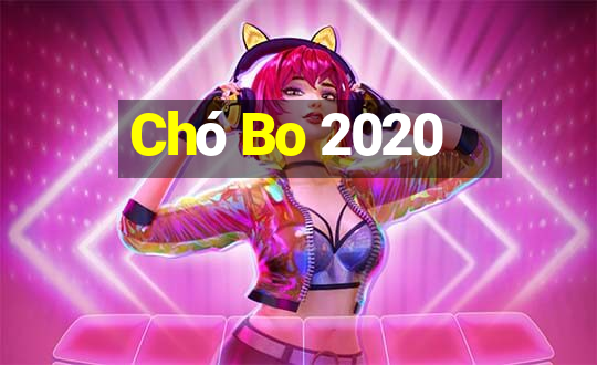 Chó Bo 2020