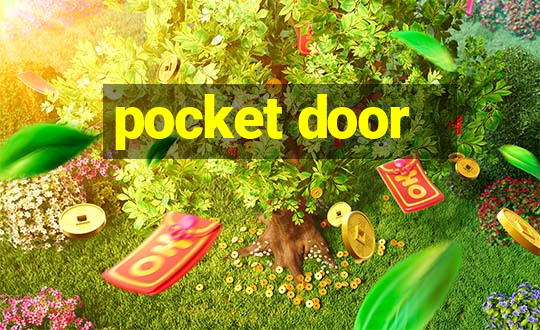 pocket door