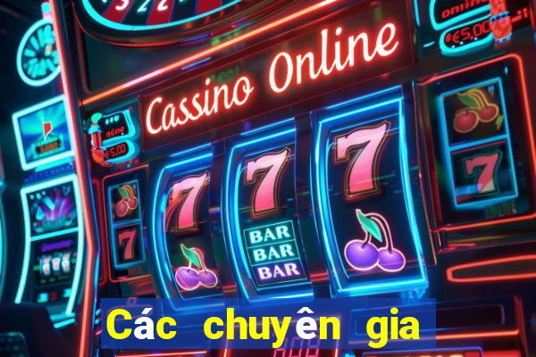 Các chuyên gia 3d dự đoán