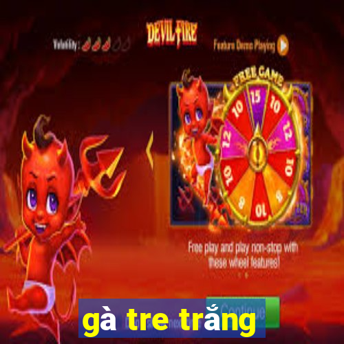 gà tre trắng