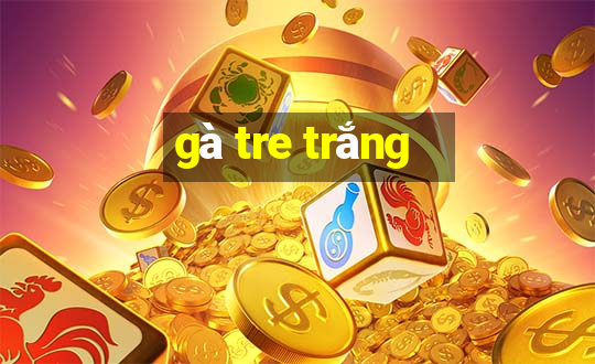 gà tre trắng