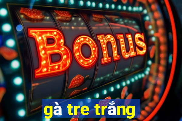 gà tre trắng