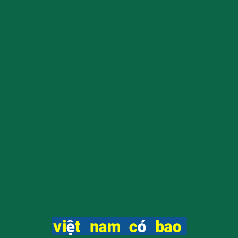 việt nam có bao nhiêu tỷ phú