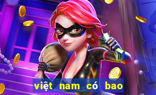 việt nam có bao nhiêu tỷ phú