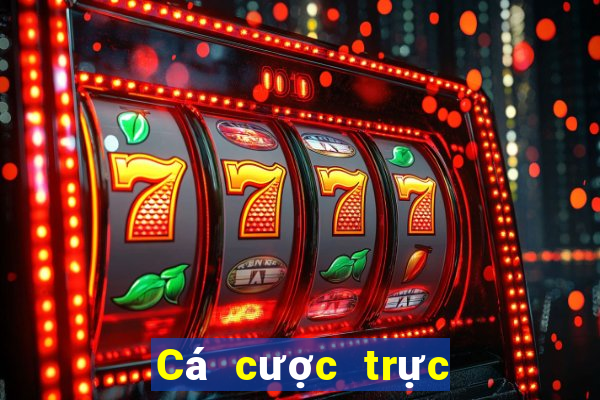 Cá cược trực tuyến betmaster