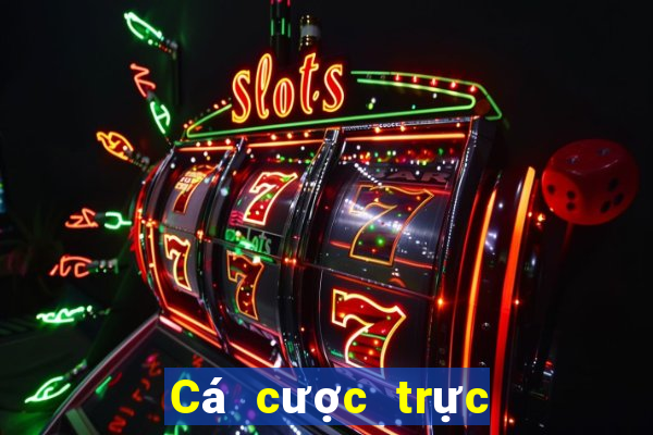 Cá cược trực tuyến betmaster