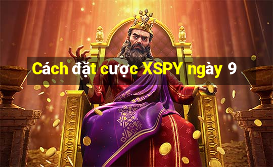 Cách đặt cược XSPY ngày 9