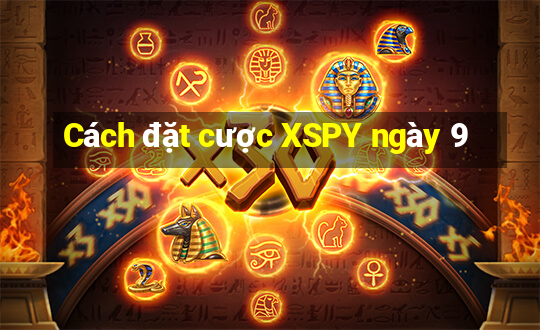 Cách đặt cược XSPY ngày 9