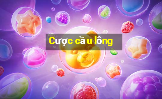 Cược cầu lông