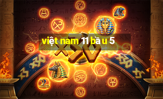 việt nam 11 bầu 5