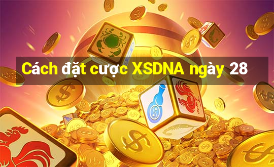 Cách đặt cược XSDNA ngày 28