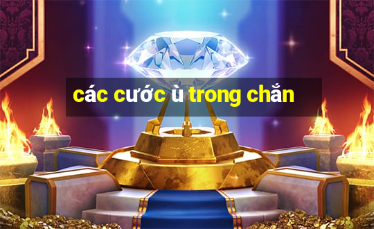 các cước ù trong chắn