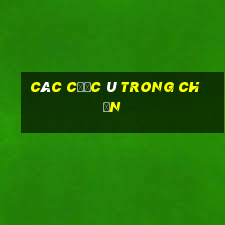 các cước ù trong chắn