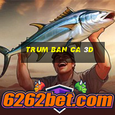 trum ban ca 3d