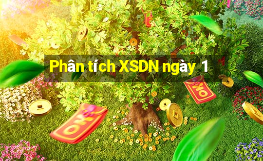 Phân tích XSDN ngày 1