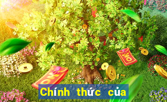 Chính thức của fg điện tử