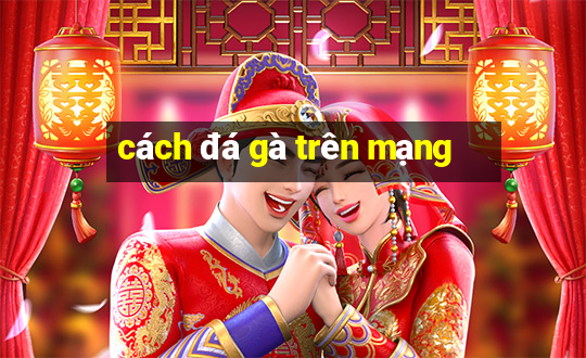 cách đá gà trên mạng