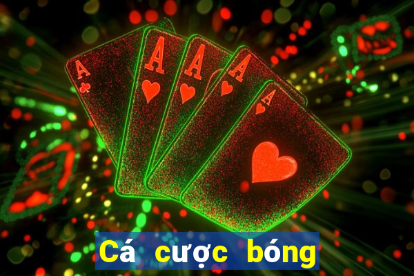 Cá cược bóng rổ 500