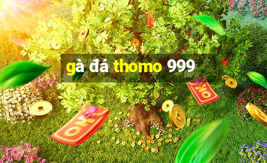 gà đá thomo 999