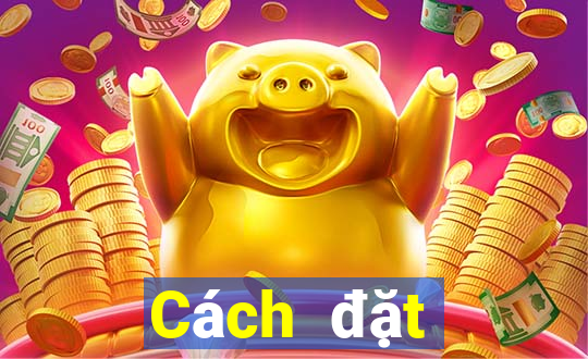 Cách đặt cược XSHP ngày 2