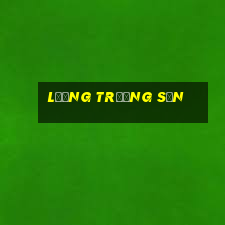 lương trường sơn