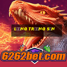 lương trường sơn