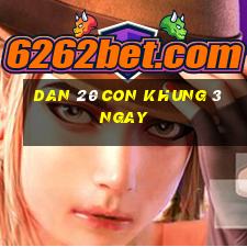 dan 20 con khung 3 ngay