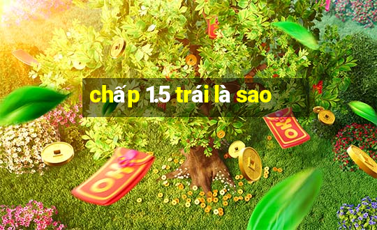 chấp 1.5 trái là sao