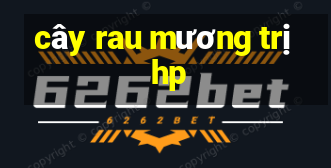 cây rau mương trị hp