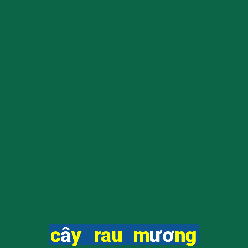 cây rau mương trị hp