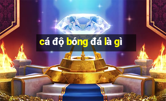 cá độ bóng đá là gì