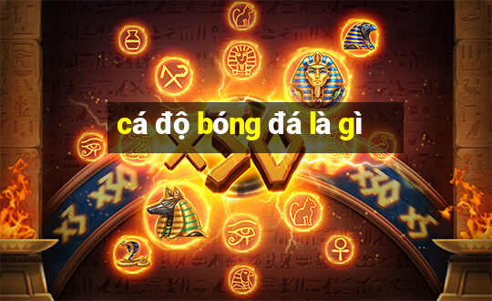 cá độ bóng đá là gì