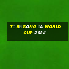 tỷ số bóng đá world cup 2024