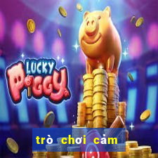 trò chơi cảm giác mạnh