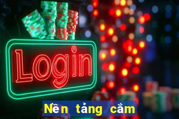 Nền tảng cắm trang web Việt nam