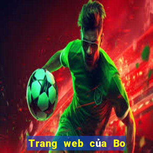 Trang web của Bo e 100