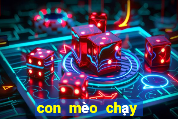 con mèo chạy đua con mèo chạy đua