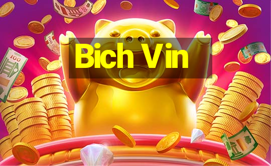 Bich Vin