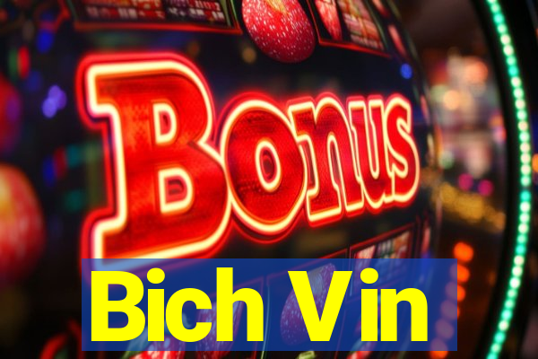 Bich Vin