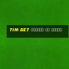 tim bet ставки на спорт