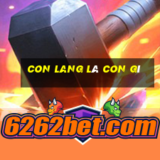 con lang là con gì