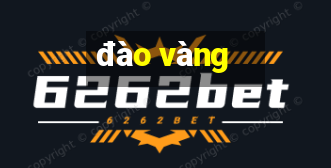 đào vàng