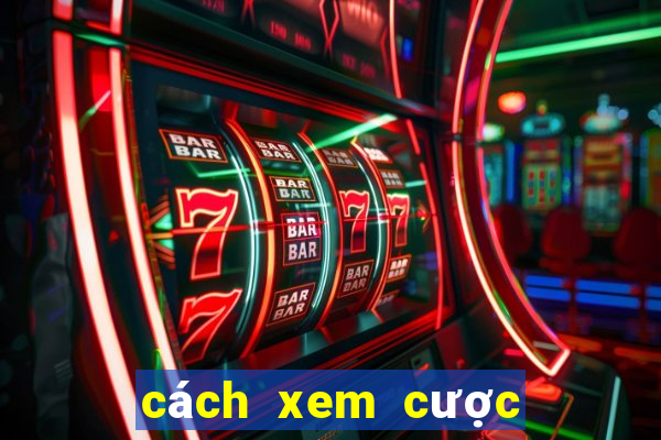 cách xem cược bóng đá