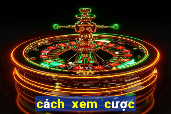 cách xem cược bóng đá