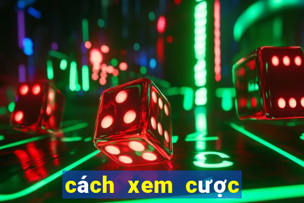 cách xem cược bóng đá