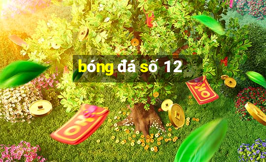 bóng đá số 1 2