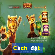 Cách đặt cược XSQT ngày 7