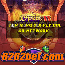 Tên mạng của Fly Color Network