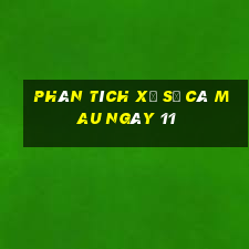 Phân tích Xổ Số Cà Mau ngày 11