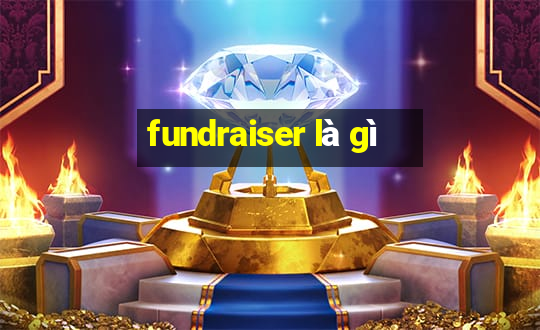 fundraiser là gì